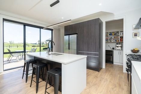 Photo of property in 133 Robson Road, Ngahinapouri, Hamilton, 3290