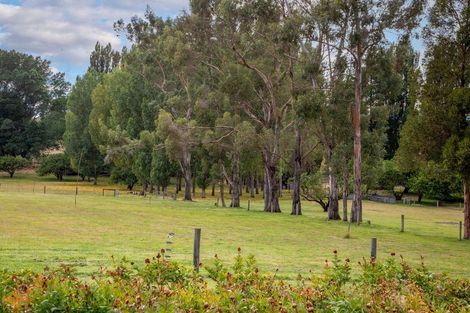 Photo of property in 569 Dunstan Road, Alexandra, 9391