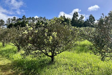 Photo of property in 1244 State Highway 10, Kerikeri, 0293