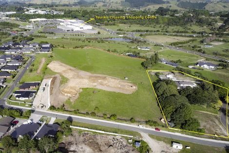 Photo of property in 111 Hastings Road, Pyes Pa, Tauranga, 3112