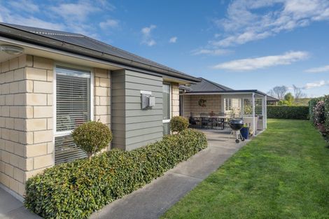 Photo of property in 167 Hollister Lane, Ohauiti, Tauranga, 3112