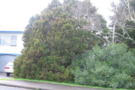 Photo of property in 18 Opaheke Road, Papakura, 2110