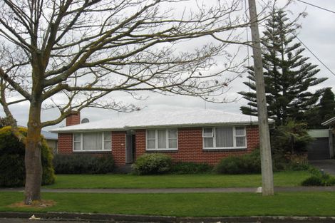 Photo of property in 40 Graham Street, Levin, 5510