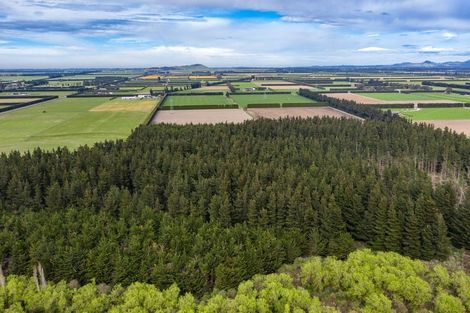 Photo of property in 136 Burnt Hill Road, Burnt Hill, Oxford, 7495