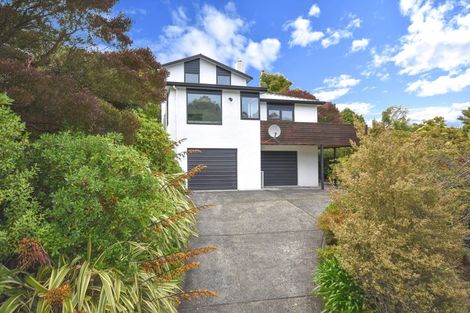 Photo of property in 170 Somerville Street, Waverley, Dunedin, 9013