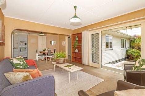 Photo of property in 25 Winter Street, Mangapapa, Gisborne, 4010