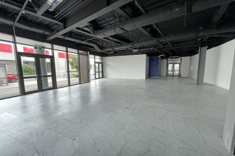 Photo of property in 1 Gallipoli Place, Flat Bush, Auckland, 2019