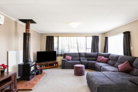 Photo of property in 9 Nicholson Street, Renwick, 7204