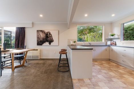 Photo of property in 20 Upland Street, Helensburgh, Dunedin, 9010