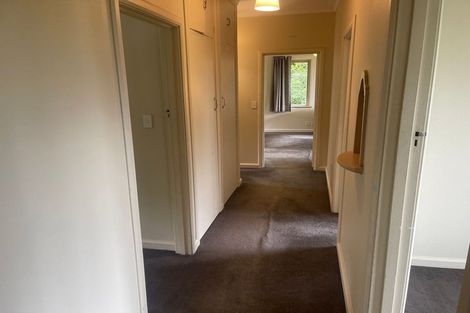 Photo of property in 4c Alva Street, Dunedin Central, Dunedin, 9016
