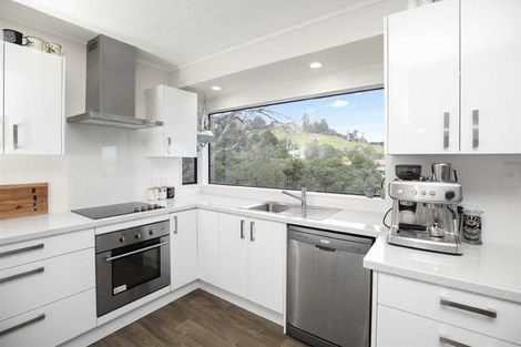 Photo of property in 214 Mount Sea Road, Thames, 3500