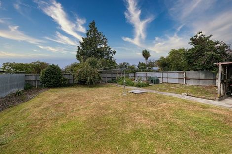 Photo of property in 171 Thomson Street, Tinwald, Ashburton, 7700