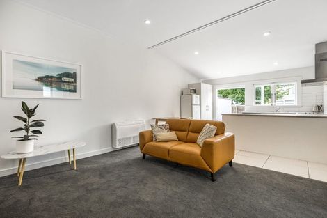 Photo of property in 17 Wiremu Street, Mount Eden, Auckland, 1041