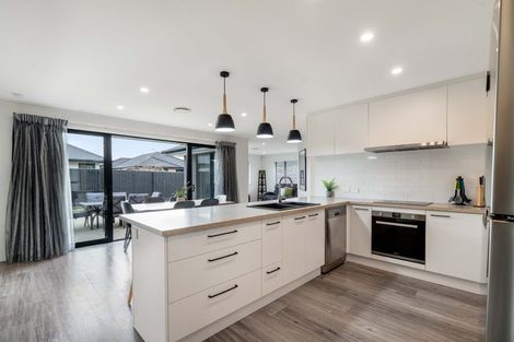 Photo of property in 273 Island Road, Kaiapoi, 7630