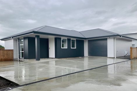 Photo of property in 19a Mckenzie Street, Levin, 5510