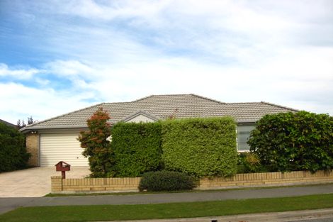 Photo of property in 19 Showgate Avenue, Sockburn, Christchurch, 8042