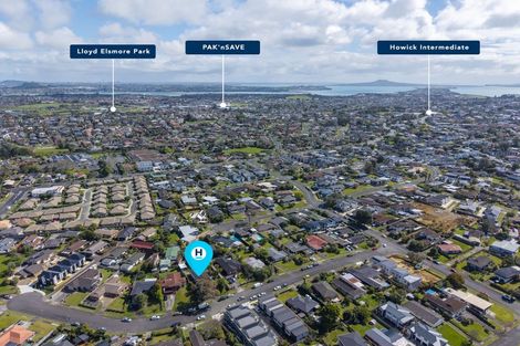 Photo of property in 13 Booralee Avenue, Botany Downs, Auckland, 2010