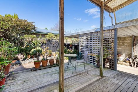 Photo of property in 77 Victoria Avenue, Whakatane, 3120