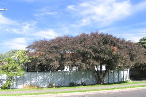 Photo of property in 32a Campbell Road, Mount Maunganui, 3116