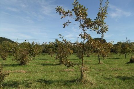 Photo of property in 947 Koputaroa Road, Koputaroa, Levin, 5575