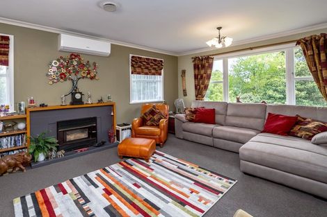 Photo of property in 63 Wakeman Street, Pahiatua, 4910