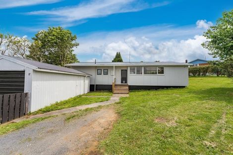 Photo of property in 17 Thornton Street, Putaruru, 3411