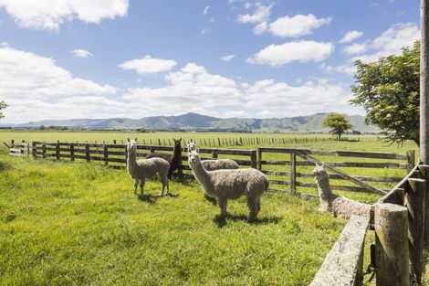 Photo of property in 468 State Highway 56, Opiki, Palmerston North, 4474