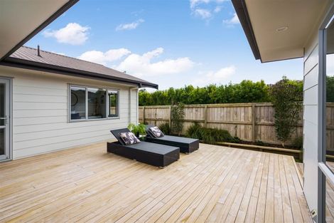 Photo of property in 45 Sands Road, Glenbervie, Whangarei, 0173