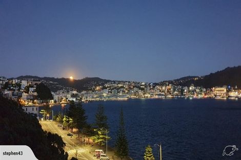 Photo of property in The Capital, 370 Oriental Parade, Oriental Bay, Wellington, 6011