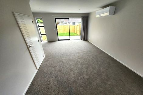 Photo of property in 87b Bordesley Street, Phillipstown, Christchurch, 8011