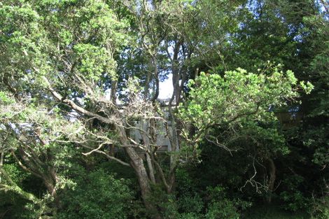 Photo of property in 43 West End Road, Herne Bay, Auckland, 1022