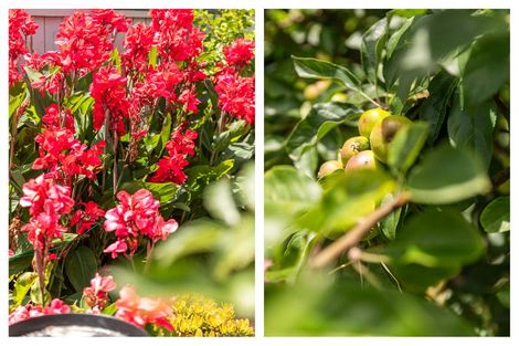 Photo of property in 720 Tararu Sh25 Road, Thames, 3500