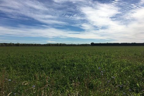 Photo of property in 1059a Winton-lorneville Highway, Lochiel, Winton, 9781