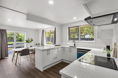 Photo of property in 18 Meadows Lane, Huntly, 3700