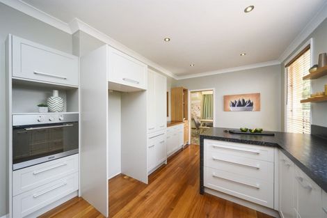 Photo of property in 41 Richmond Avenue, Takaro, Palmerston North, 4410