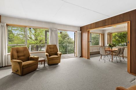 Photo of property in 58 Duart Road, Havelock North, 4130