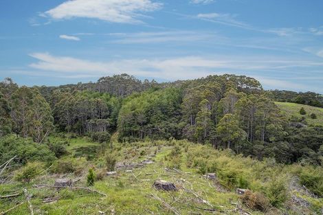 Photo of property in 259 Diggers Valley Road, Herekino, Kaitaia, 0481