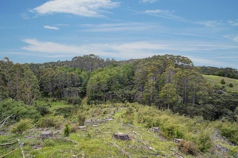 Photo of property in 259 Diggers Valley Road, Herekino, Kaitaia, 0481