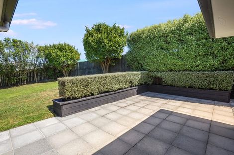 Photo of property in 123 Te Puia Drive, Aotea, Porirua, 5024