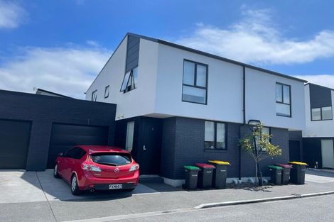 Photo of property in 9 Verlamio Lane, Edgeware, Christchurch, 8013