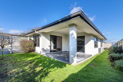 Photo of property in 91a Queen Street West, Levin, 5510