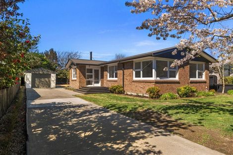 Photo of property in 46 Aintree Street, Bishopdale, Christchurch, 8051