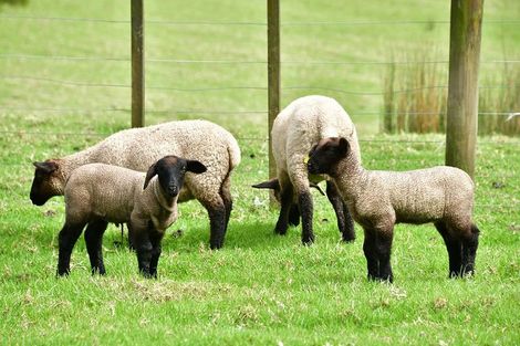 Photo of property in 570 Mahurangi East Road, Algies Bay, Warkworth, 0920