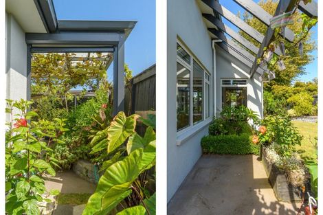 Photo of property in 22 Hansard Place, Bethlehem, Tauranga, 3110