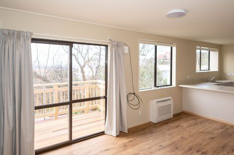 Photo of property in 44 Argyle Street, Mornington, Dunedin, 9011