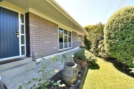 Photo of property in 157 Norwood Street, Normanby, Dunedin, 9010