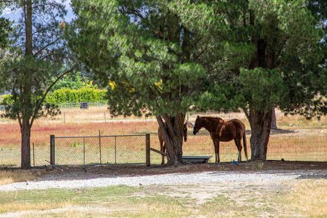 Photo of property in 149 Dunstan Road, Alexandra, 9391