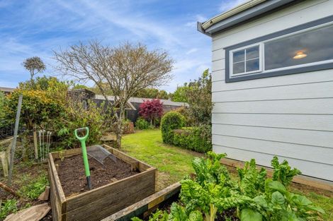 Photo of property in 18 Pembroke Road, Stratford, 4332