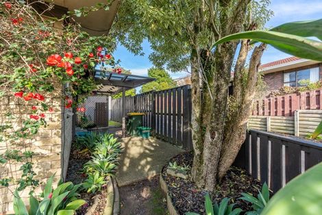 Photo of property in 66 Hazelwood Avenue, Dinsdale, Hamilton, 3204