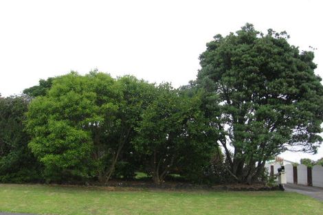 Photo of property in 1/4 Tiri Tiri Road, Birkdale, Auckland, 0626